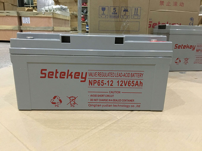 Setekey免維護(hù)鉛酸電池